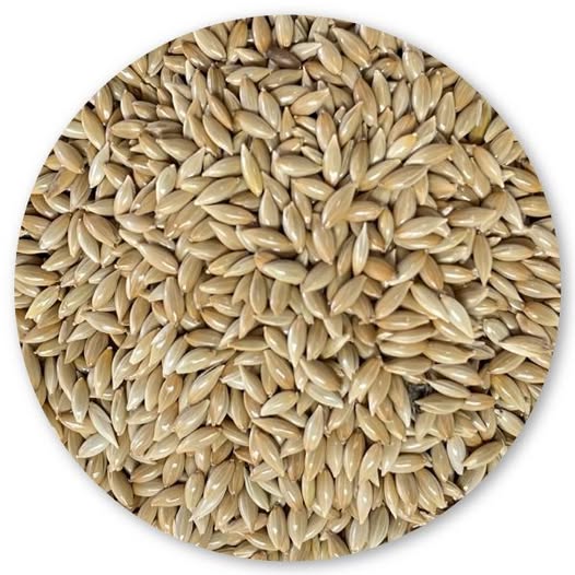 Scagliola Bird 5 kg