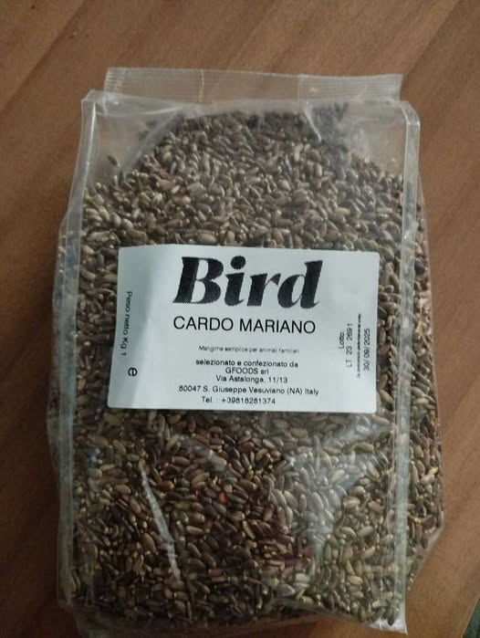 Bird Cardo Mariano