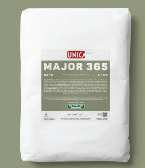 Unica - Major 365