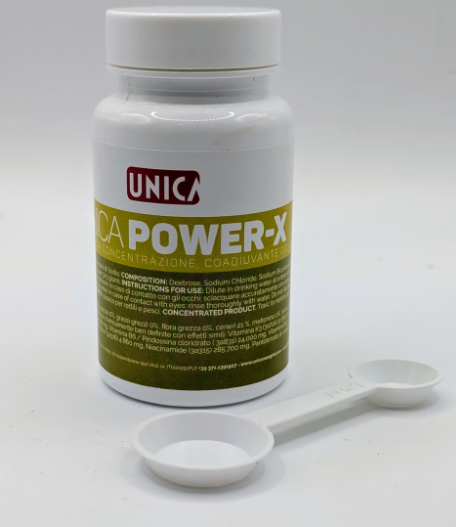 Unica - Power x