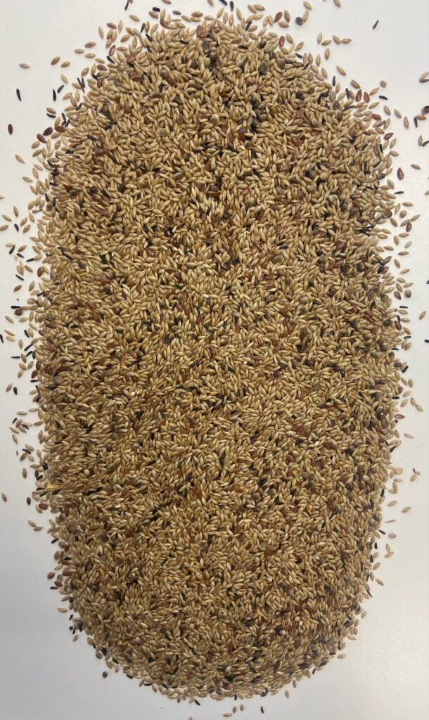 Bird Miscela M Special  20 kg
