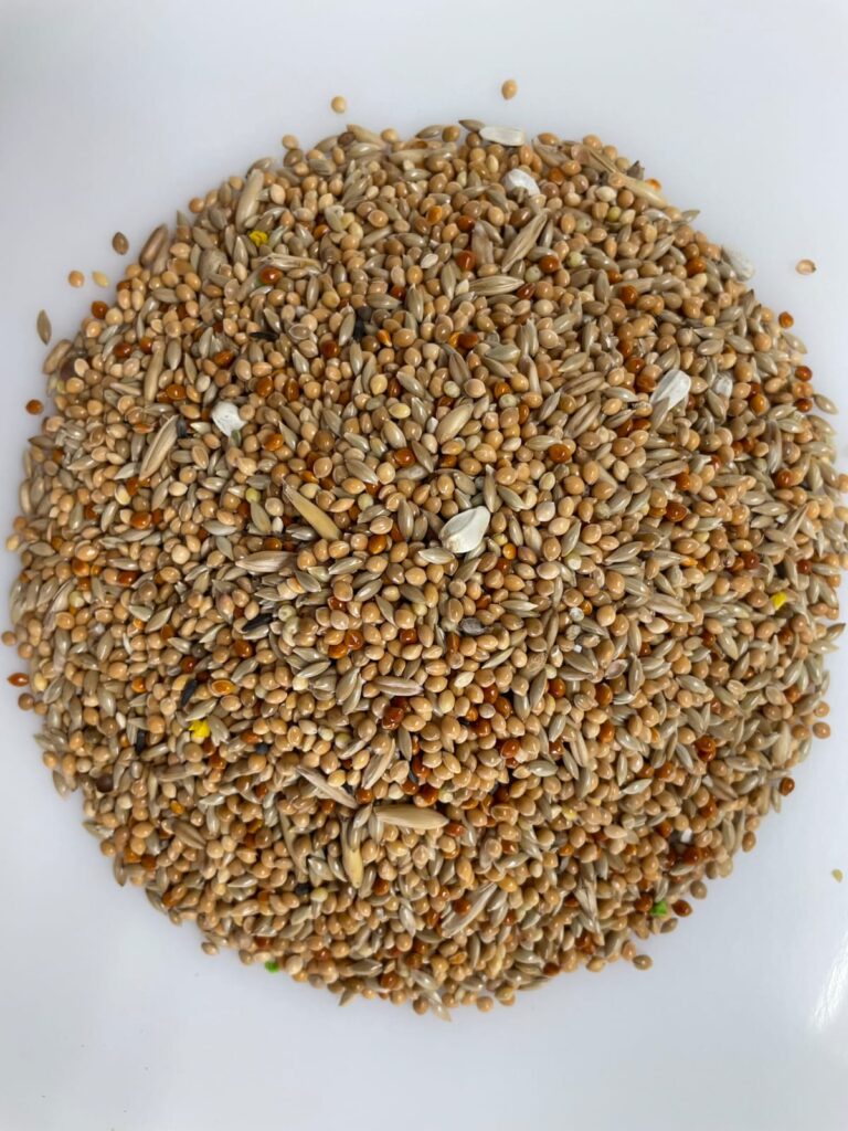 Bird Pappagallini R 20 Kg