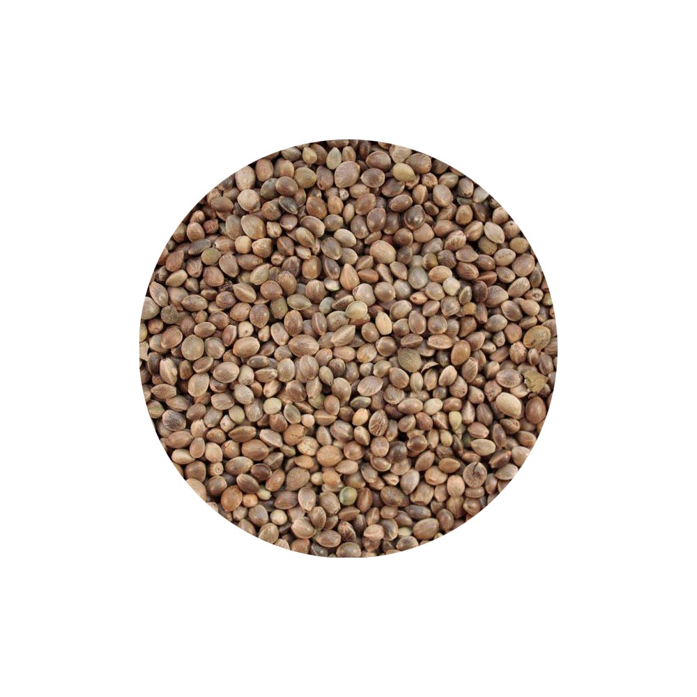 Canapuccia 1 Kg